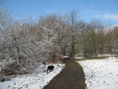 Alkincoats in winter guise
