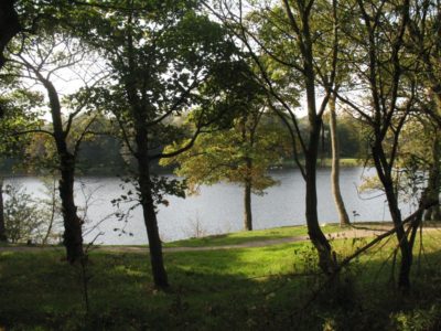 Rowley Lake and runnable forest.