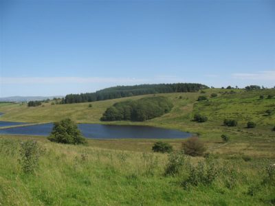 Dean Clough woodland