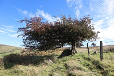 Site of 131, Bolder, W side